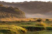 Picture of Horton Plains