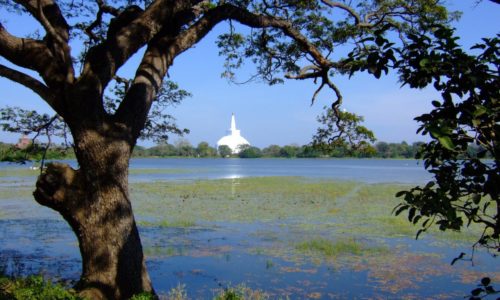 Anuradapuraya-Sri Lanka