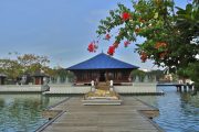 Picture of Gangaramaya Temple