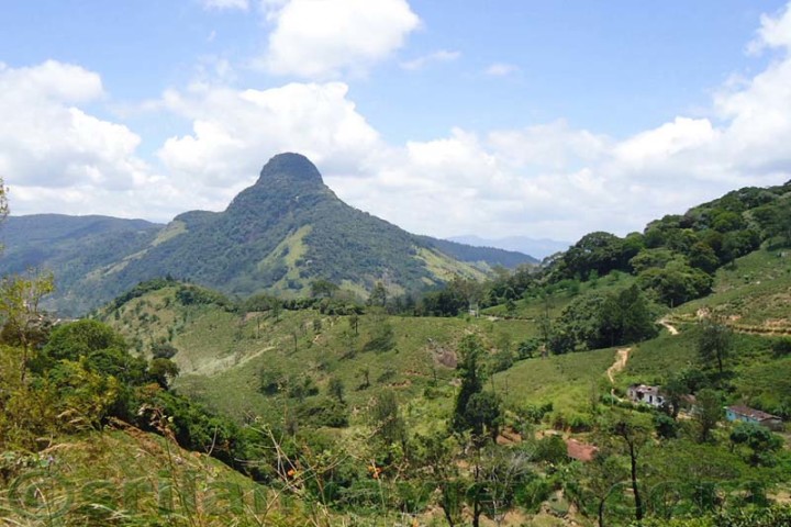 Picture of Knuckles Range