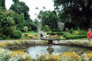 Picture of Peradeniya Botanical Garden