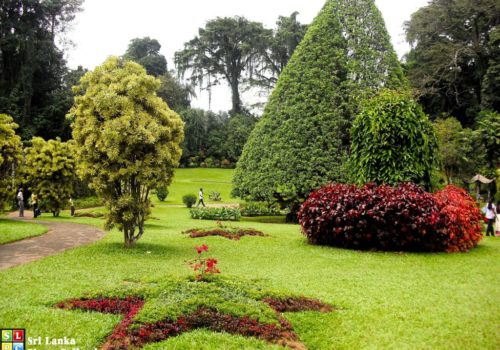 Peradeniya Botanical Gardens-