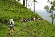 Picture of Trekking