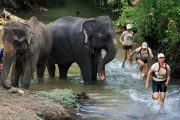 Picture of Adventure In Sri Lanka