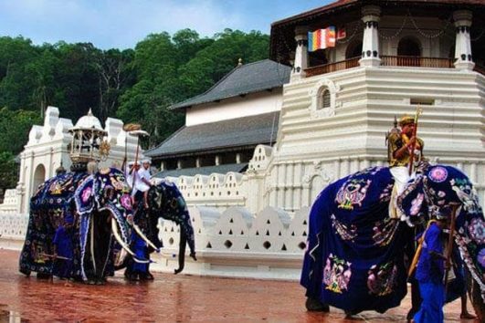 Picture of Kandy Festivel