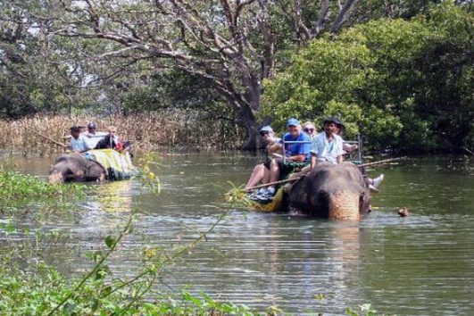 Elephant Back Riding in Sri Lanka