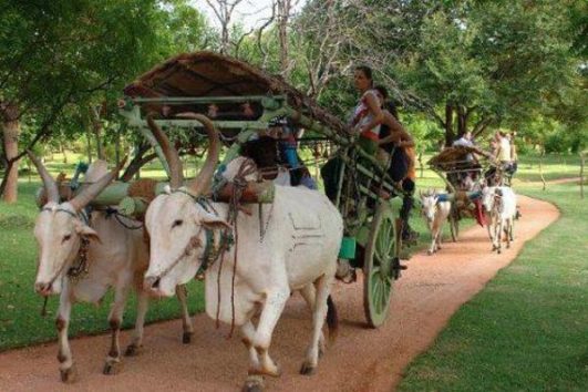 Village Safari Sri Lanka